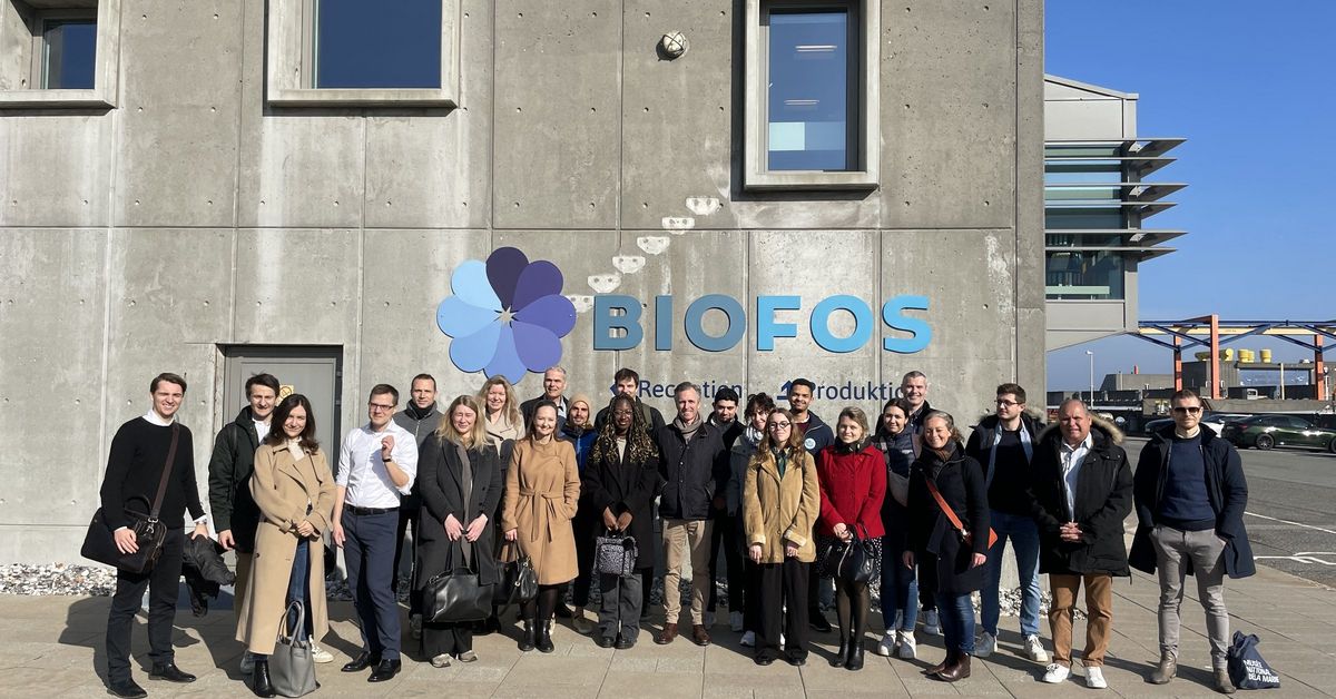 Exploring the BIOFOS Renseanlæg Lynetten: Our Visit to a Wastewater ...